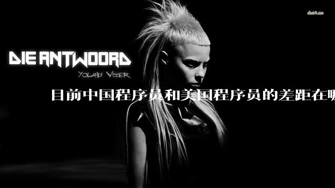 目前中国程序员和美国程序员的差距在哪里？