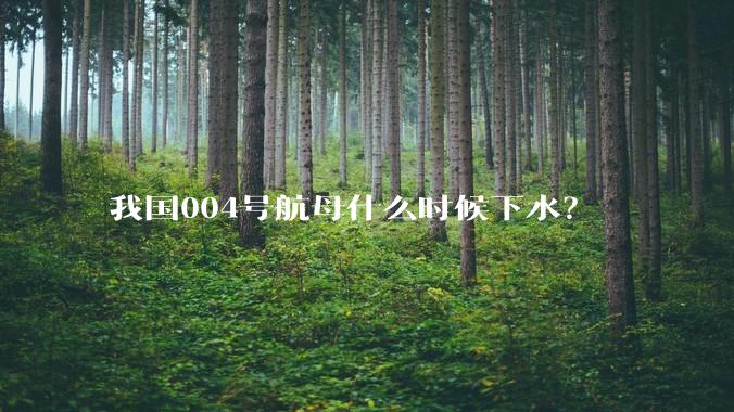 我国004号航母什么时候下水？