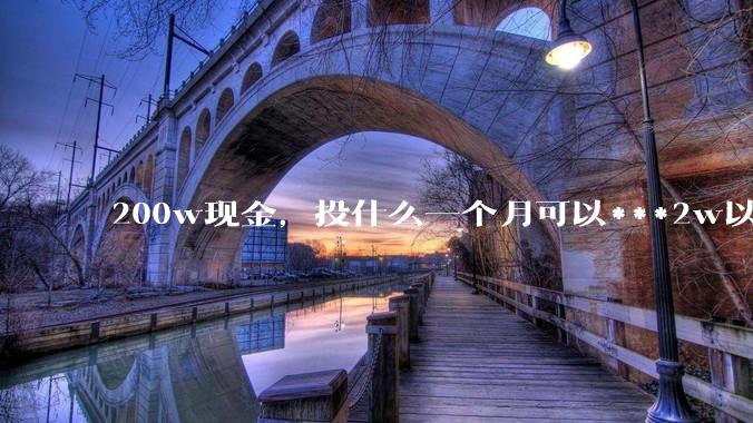 200w现金，投什么一个月可以***2w以上？